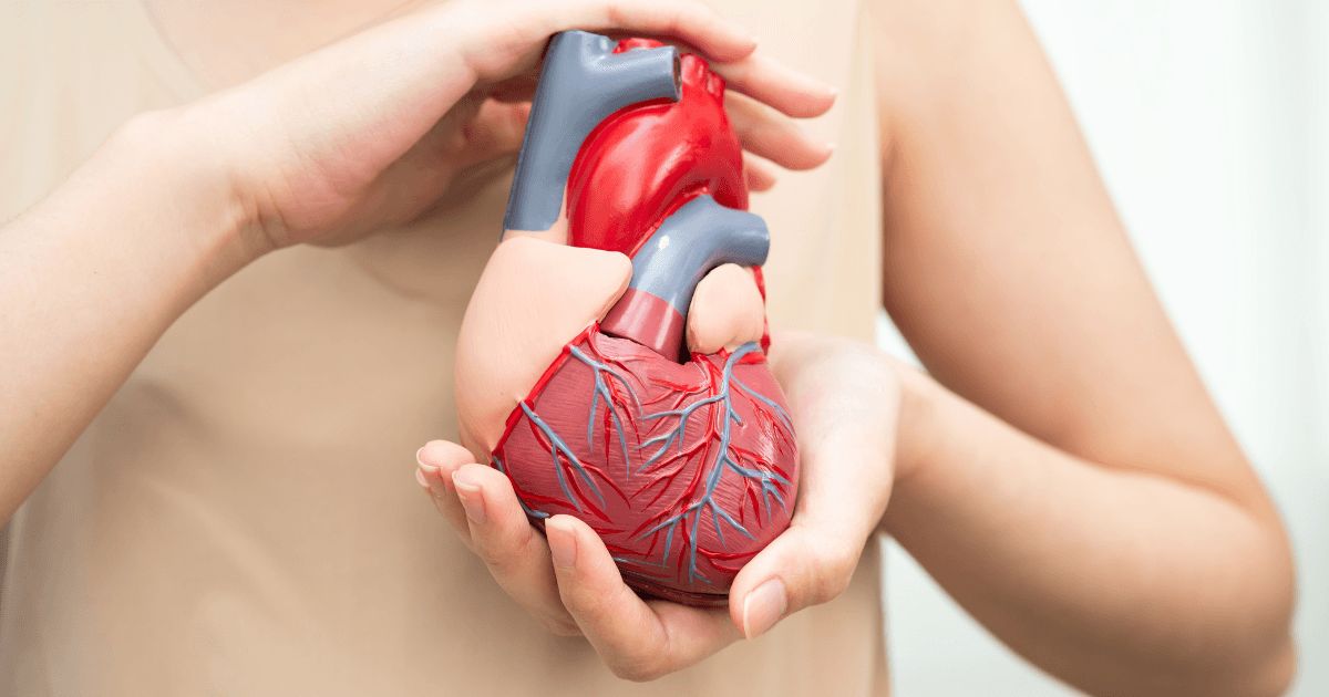 Top 10 Myths About Heart Disease – Busted