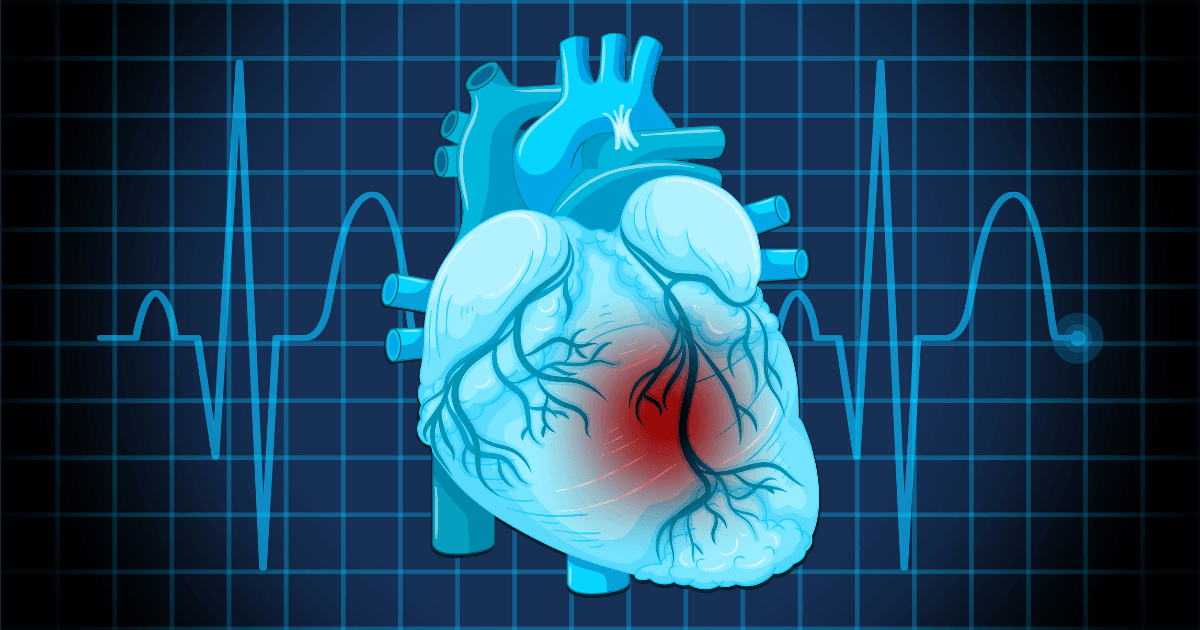 3D इकोकार्डियोग्राफी कैसे बदल रही है हृदय इमेजिंग की दुनिया