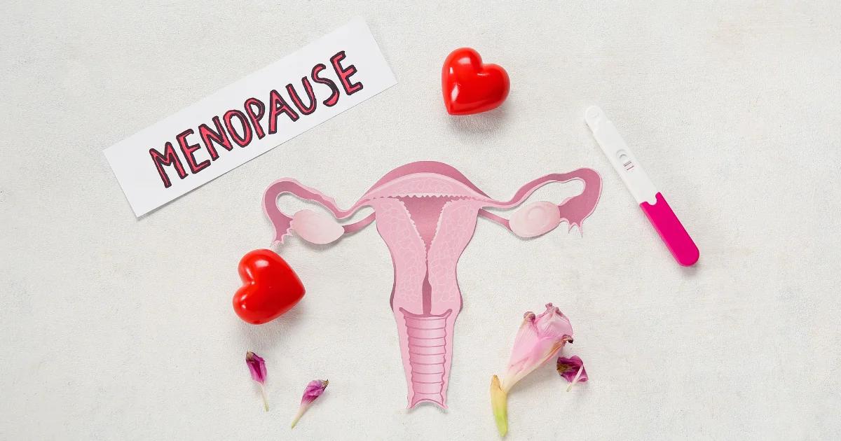 How Menopause affects Heart Health