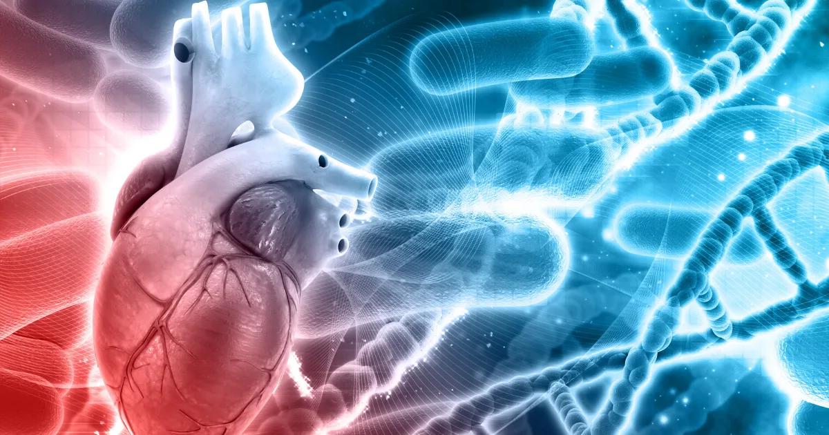 What Heart Diseases Are Hereditary? Exploring Genetic Heart Conditions