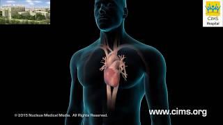 Video Image
