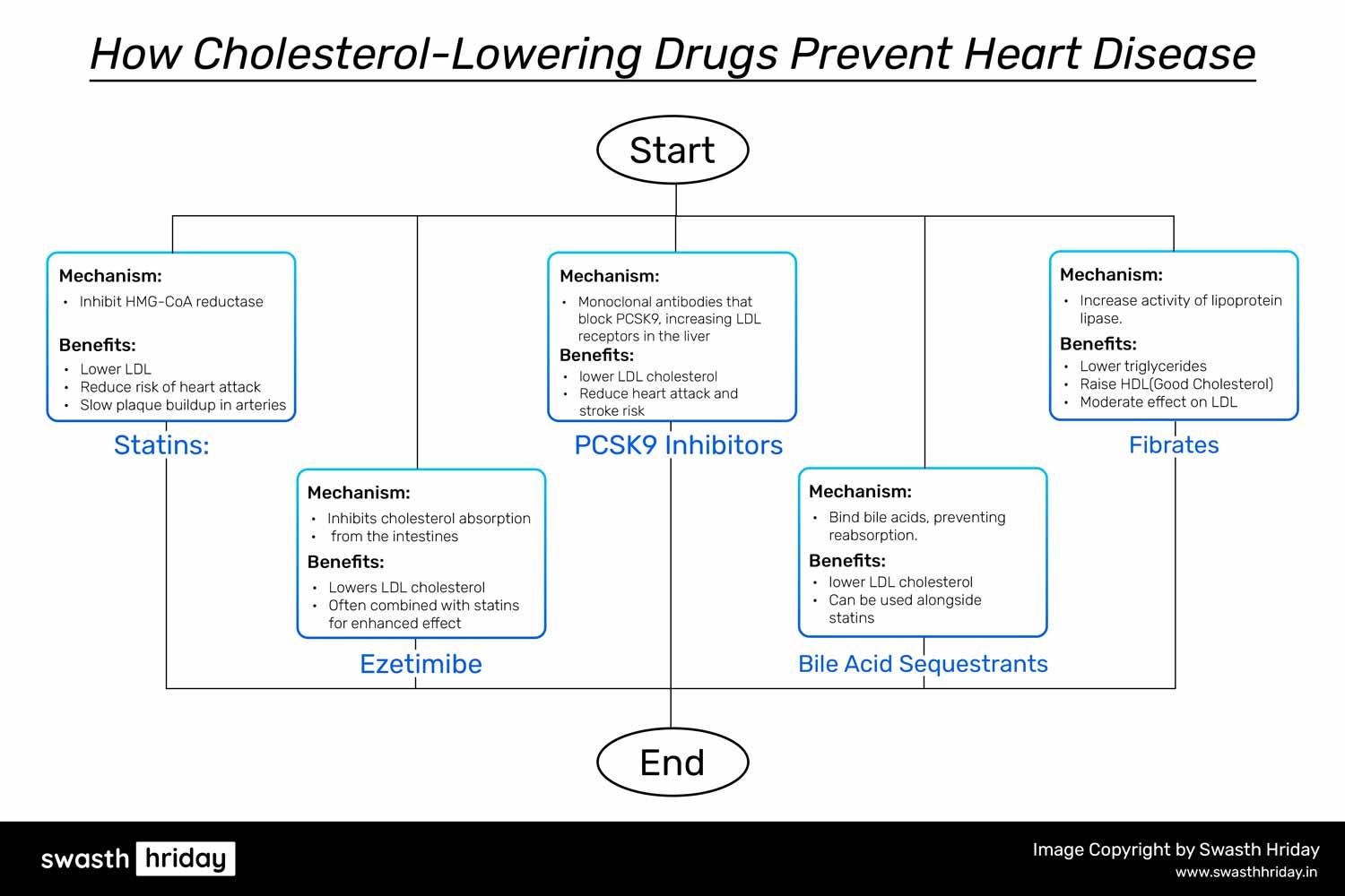 Types of Cholesterol-Lowering Drugs: Mechanisms and Benefits for Heart Disease Prevention કોલેસ્ટ્રોલ ઘટાડતી દવાઓ હૃદયરોગને કેવી રીતે અટકાવે છે
