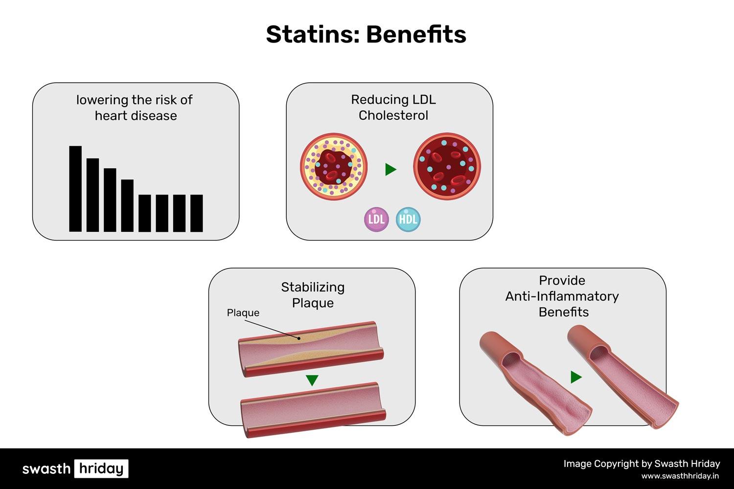 How Statins Lower LDL Cholesterol and Prevent Plaque Buildup સ્ટેટિન્સ: કોલેસ્ટ્રોલ ઘટાડવાની સૌથી સામાન્ય દવા