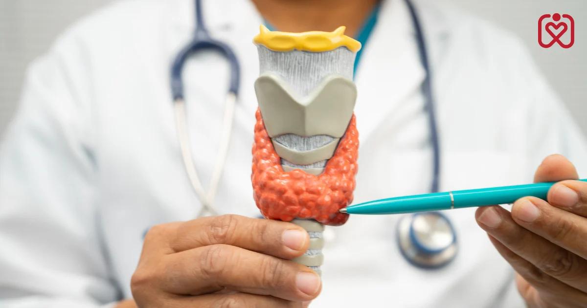 થાયરોઇડ અને હૃદયના આરોગ્ય વચ્ચેનો સંબંધ